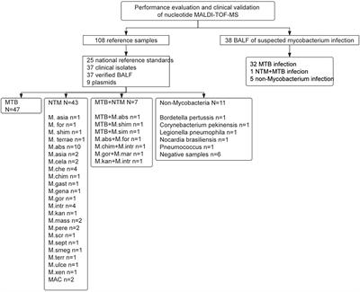 Performance evaluation and clinical validation of optimized nucleotide MALDI-TOF-MS for mycobacterial identification